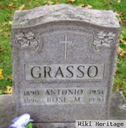 Rose M Grasso