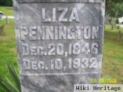 Elizabeth Louisa "liza" Sizemore Pennington