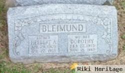 Herbert A. Bleimund