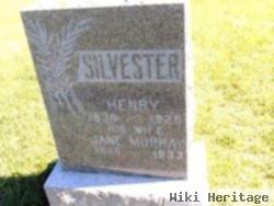 Henry Silvester