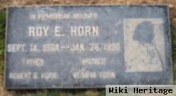 Roy E Horn