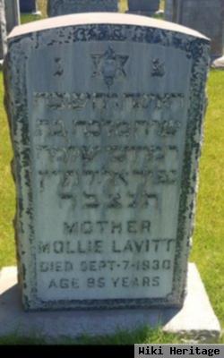 Mollie Lavitt