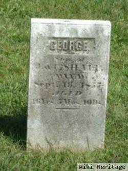 George Shall