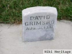 David Grimsbo