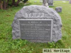 Henrietta Tripp