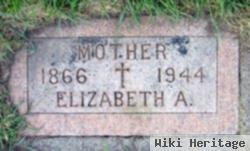 Elizabeth Ann Mullany Hendricks