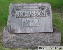 Jakob J Johanson