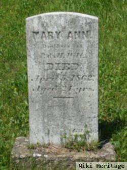 Mary Ann Wilt