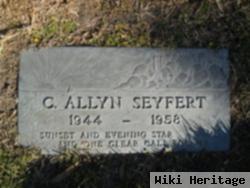 C Allyn Seyfert