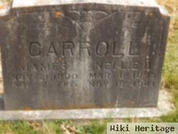 Nellie B. Carroll