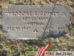 Theodore Everidge "ted" Gosney