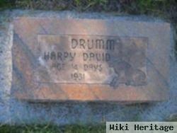 Harry David Drumm