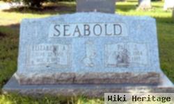 Paul J Seabold