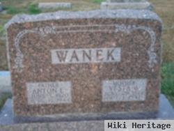 Anton Edward Wanek