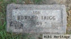 Howard Trigg