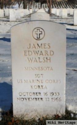 James Edward Walsh