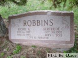 Richie A Robbins