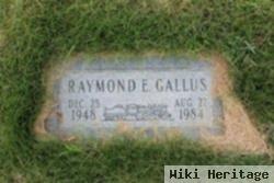 Raymond E Gallus