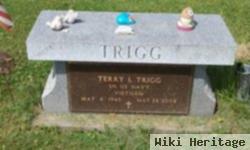 Terry Lynn "herk" Trigg