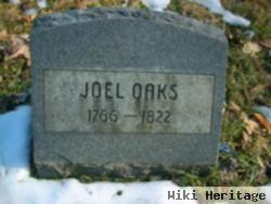 Joel Oaks