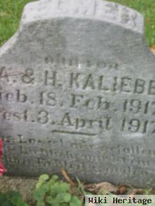 Elmer Kaliebe