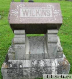 Henry D Wilkins