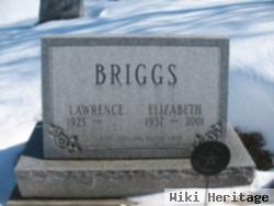 Elizabeth Briggs