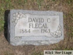 David Cleveland Flegal