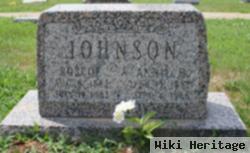 Annie M. Johnson