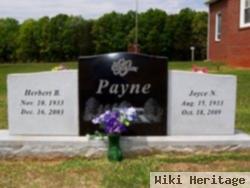 Joyce N Payne