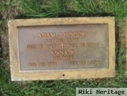 Adam J Hoock