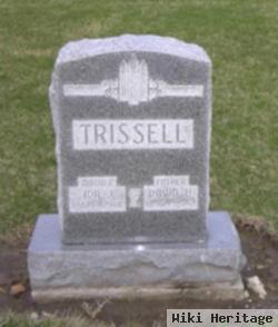 David H Trissell