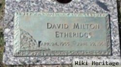 David Milton Etheridge