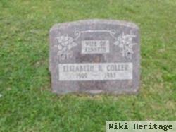 Elizabeth H Coller