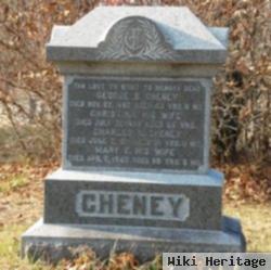 Mary E. Cheney