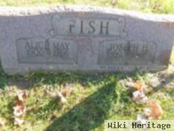 Joseph Henry Fish