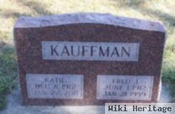 Fred J Kauffman