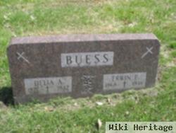 Delia A. Buess