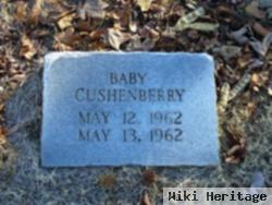 Baby Cushenberry