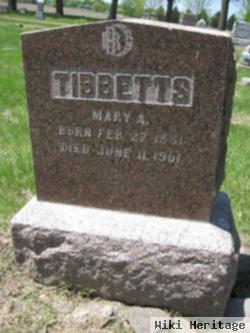 Mary A Stevens Tibbetts