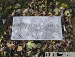 Clara Alvina Berndt Briese