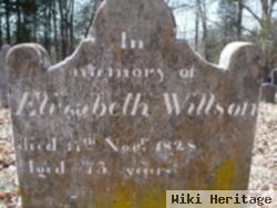 Elizabeth Wilson