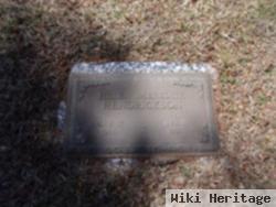 Helen Ellen Meredith Hendrickson