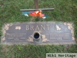 Allen Millard Brant