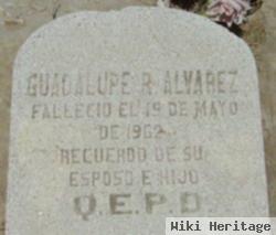 Guadalupe R Alvarez