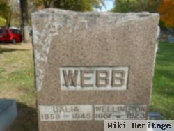 Wellington Webb