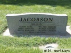 Aaron Carl Jacobson