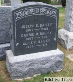 Carrie M. Bailey