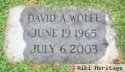 David A Wolfe