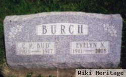 Evelyn N Niles Burch